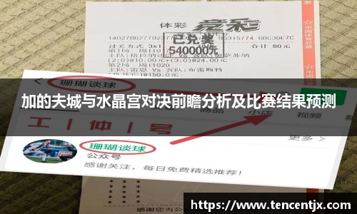 加的夫城与水晶宫对决前瞻分析及比赛结果预测